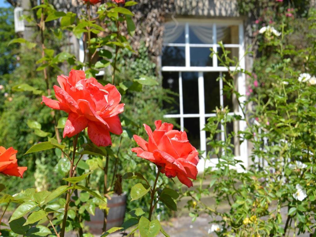 Powis House B&B Stirling Exterior foto